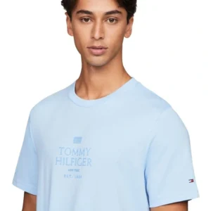 Tommy Hilfiger Tonal Tee in Blue T-shirt UK (L)